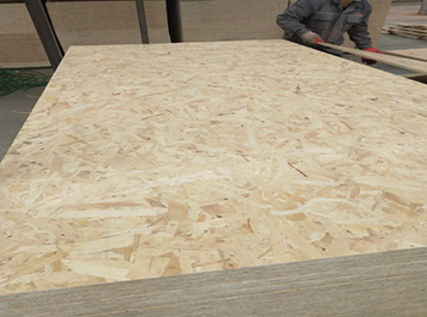 OSB-2
