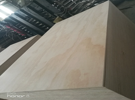 Pine plywood