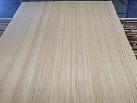 EV Plywood